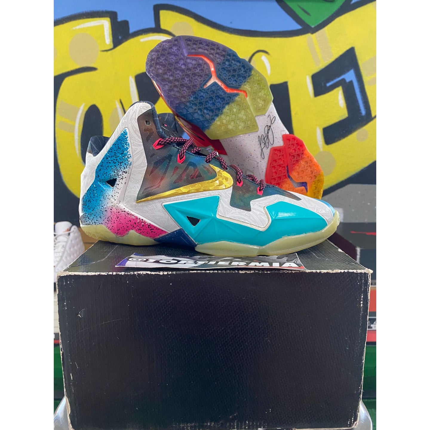 LeBron 11 What The 2014 sz 8.5
